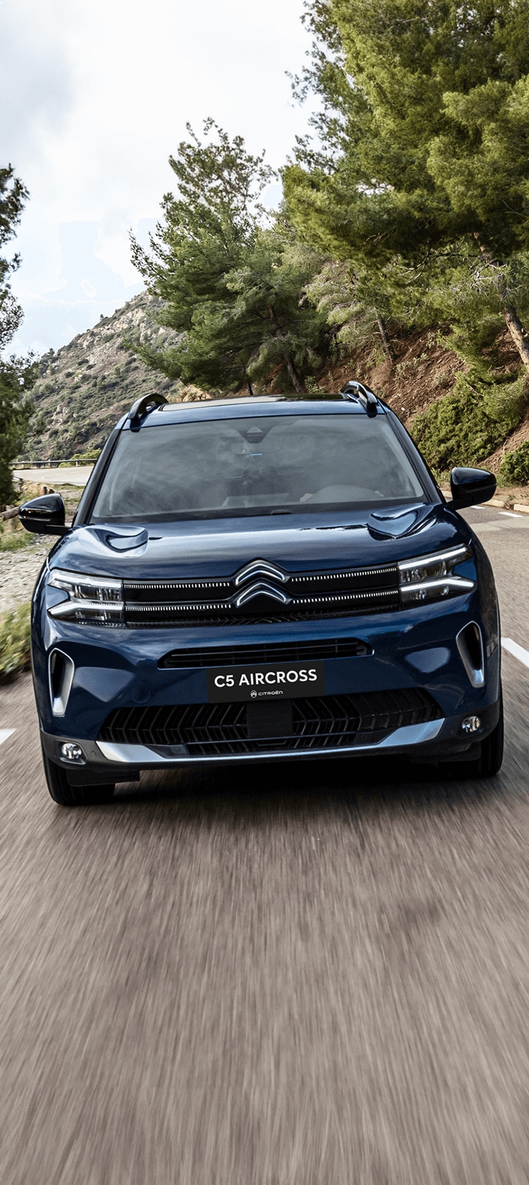 Citroen Type Holidays vue globale